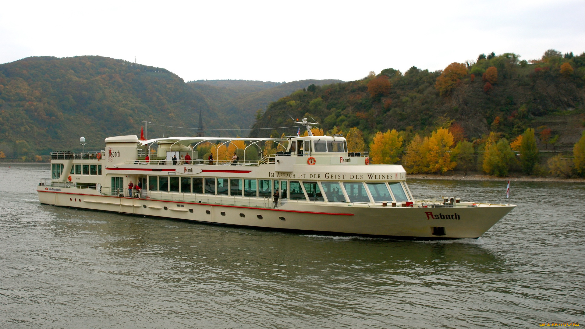 корабли, теплоходы, германия, боппард, река, теплоход