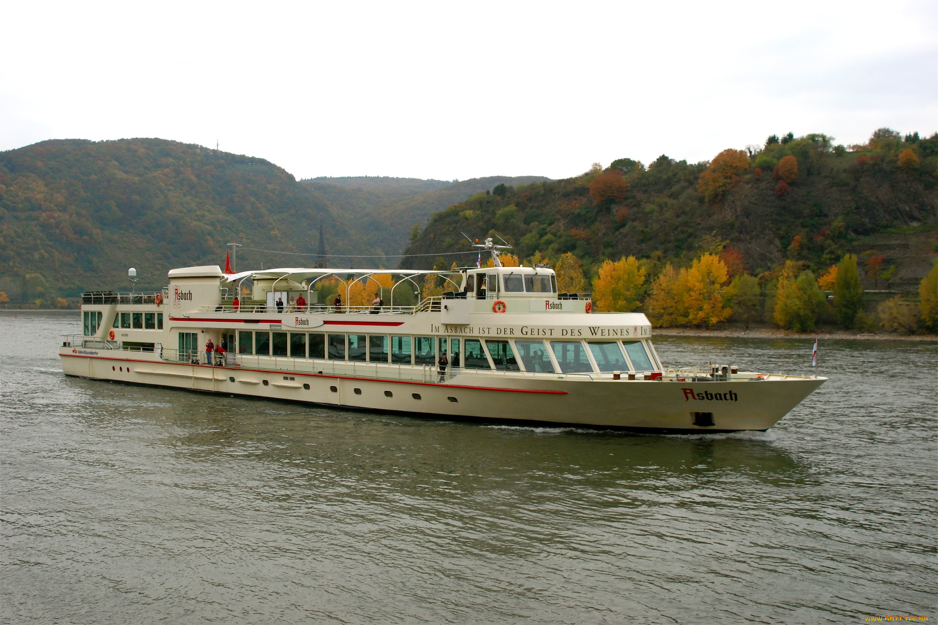 корабли, теплоходы, германия, боппард, река, теплоход