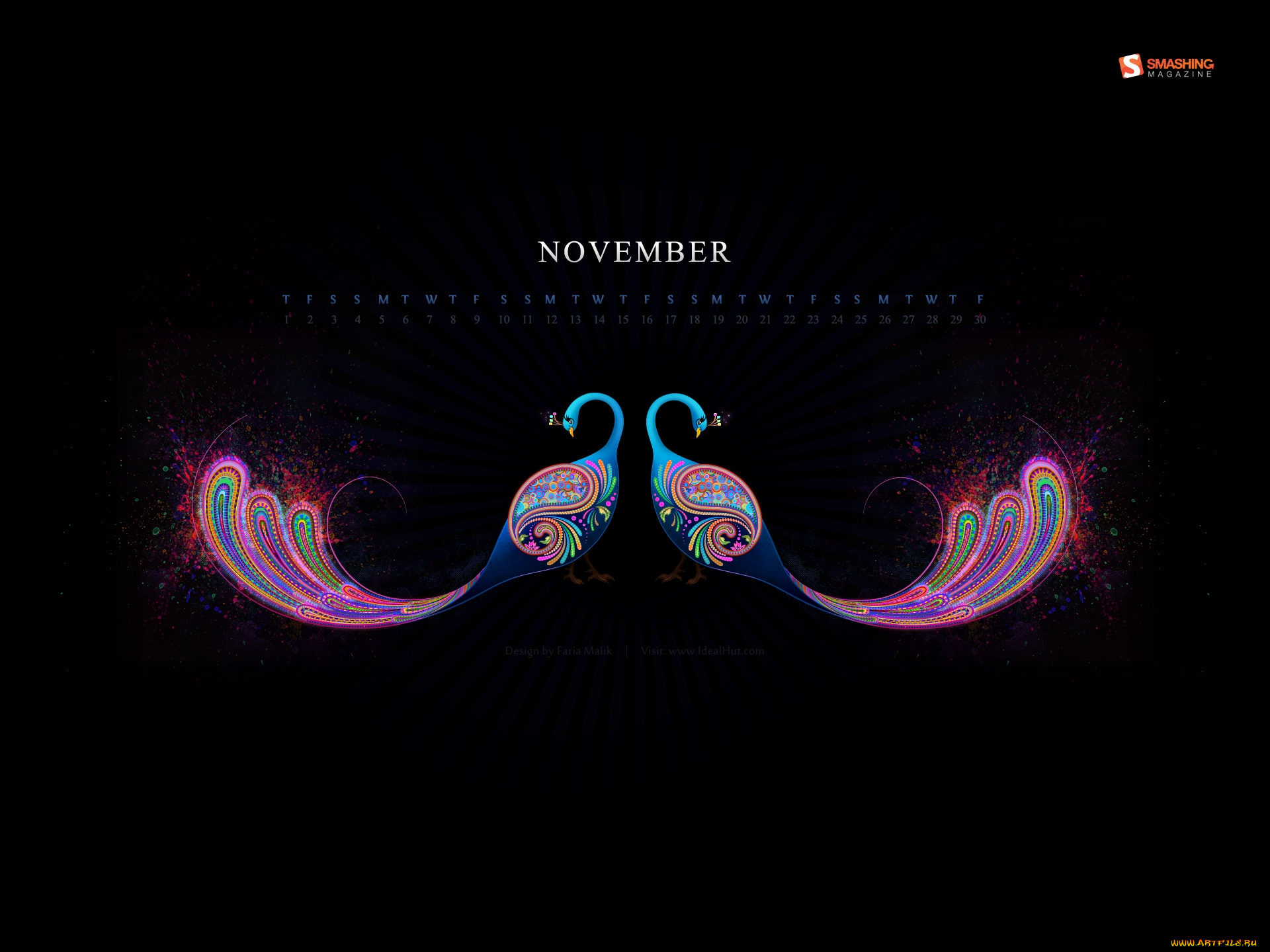 календари, рисованные, векторная, графика, павлины