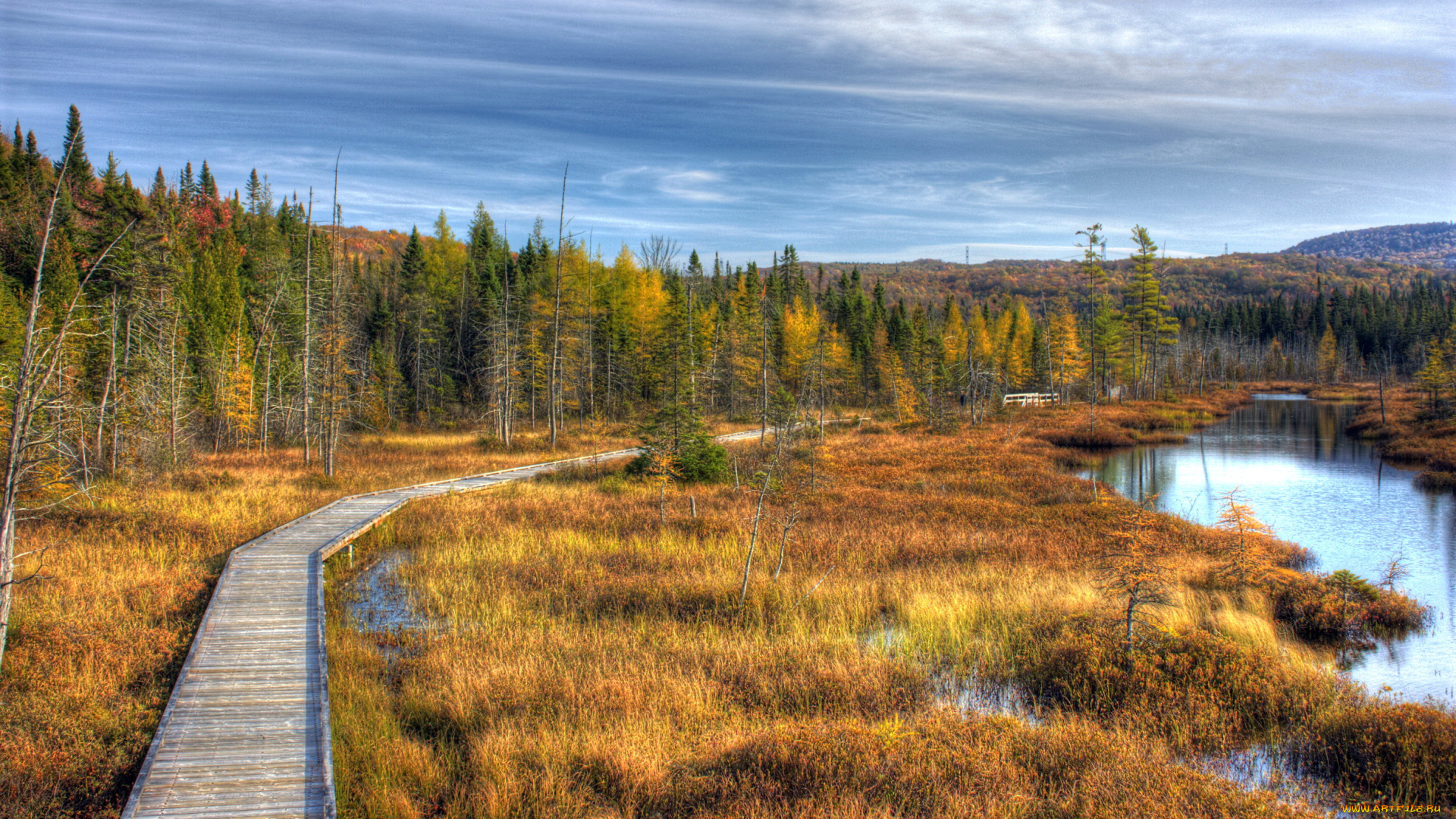 квебек, канада, природа, пейзажи, тропа, осень, лес, озеро