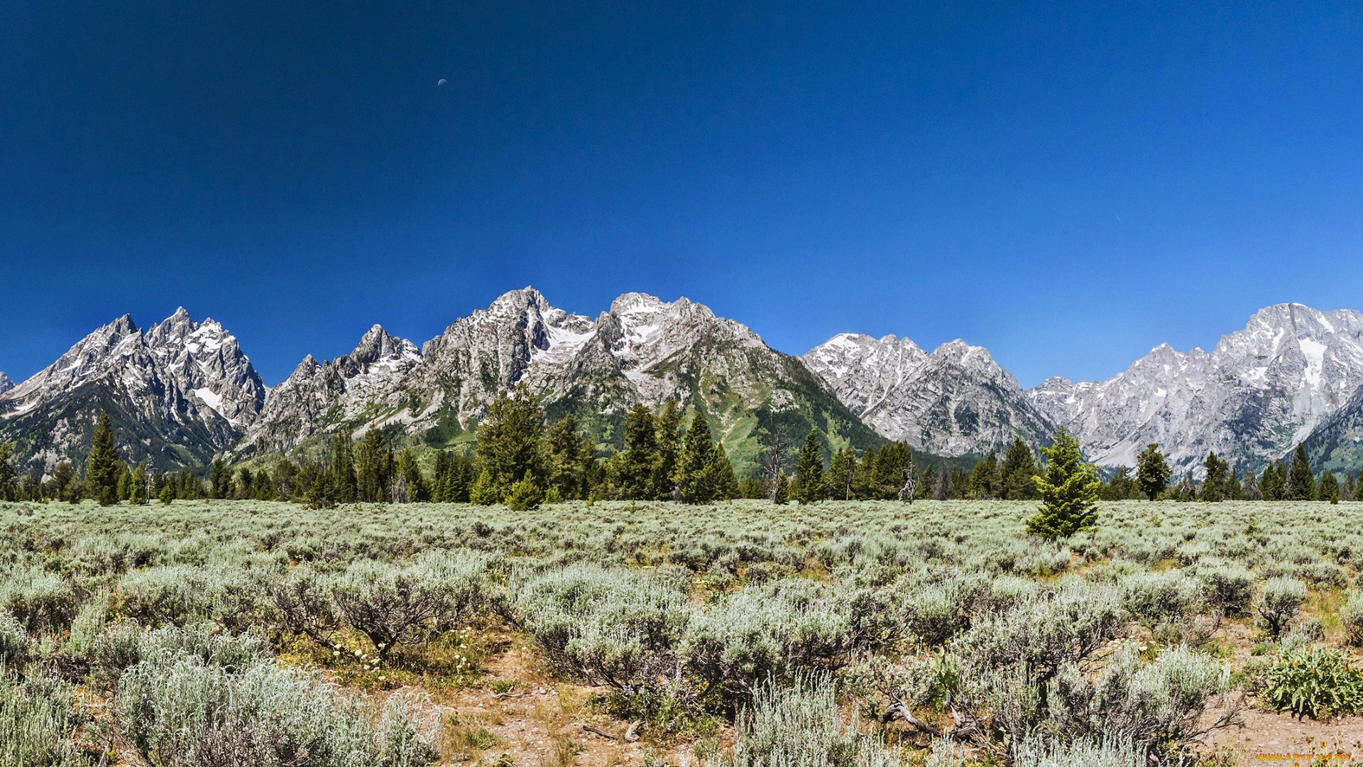 природа, горы, кустики, долина, лес