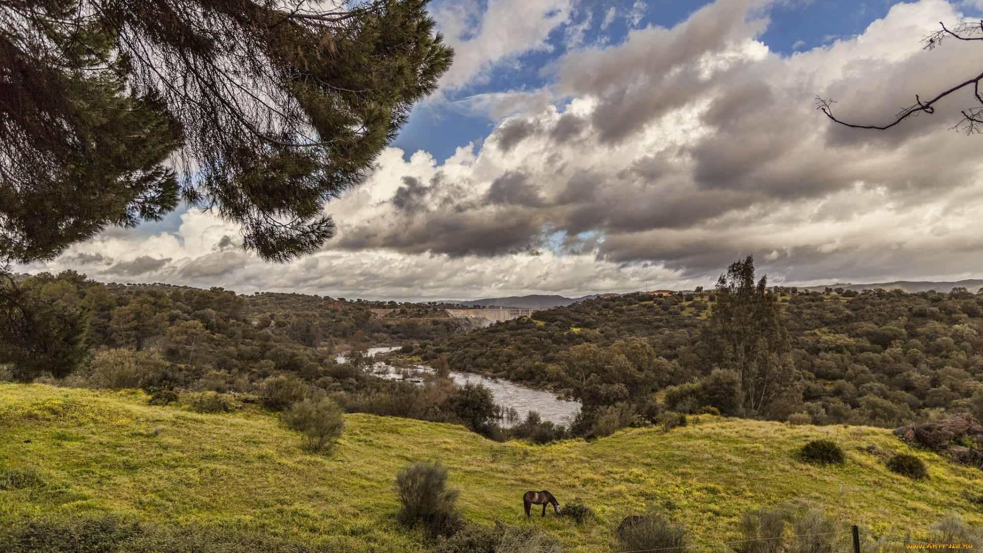 природа, пейзажи, панорама, холмы, деревья, луга, река
