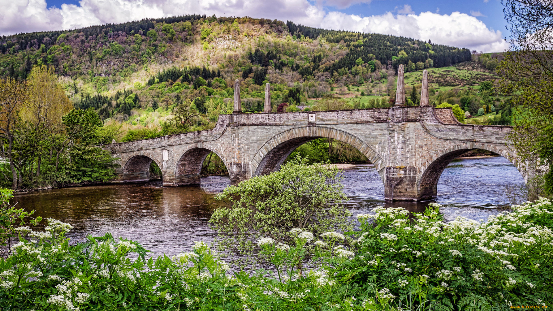 природа, реки, озера, арки, заросли, река, лес, каменный, мост, холмы, кусты, трава