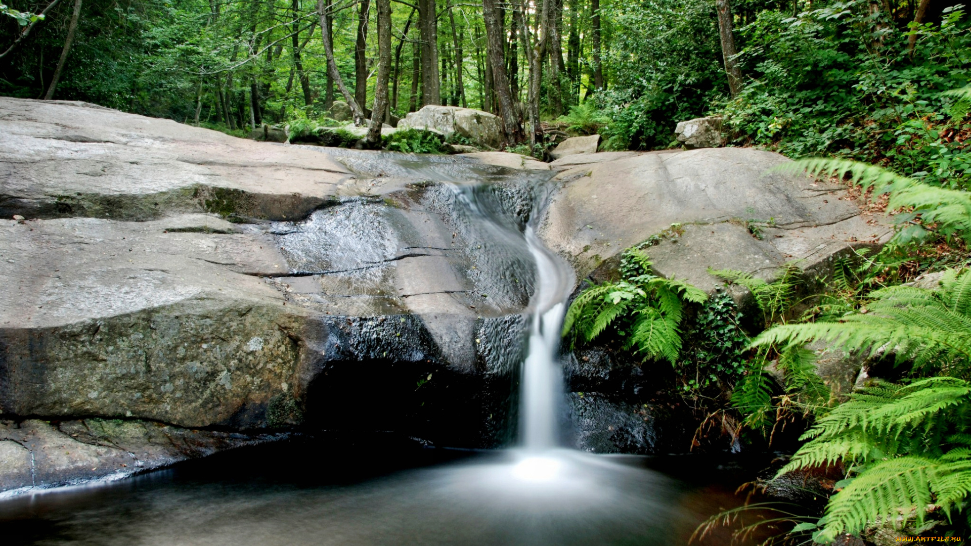 природа, водопады, камни, ручей, лес, заросли, папоротник, водопад