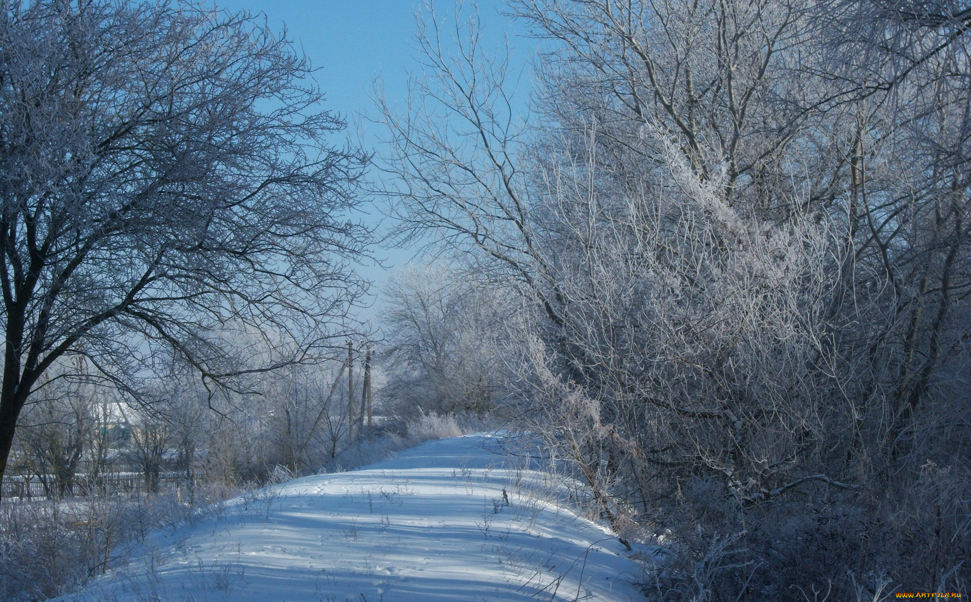 природа, зима