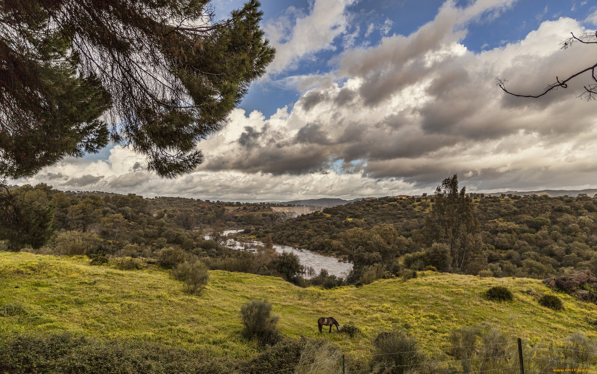природа, пейзажи, панорама, холмы, деревья, луга, река