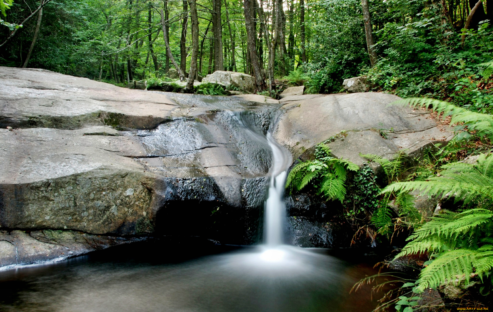 природа, водопады, камни, ручей, лес, заросли, папоротник, водопад