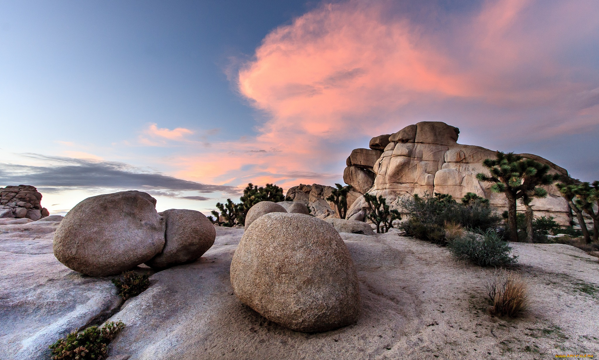 природа, пустыни, деревья, пустыня, камни, песок, скала