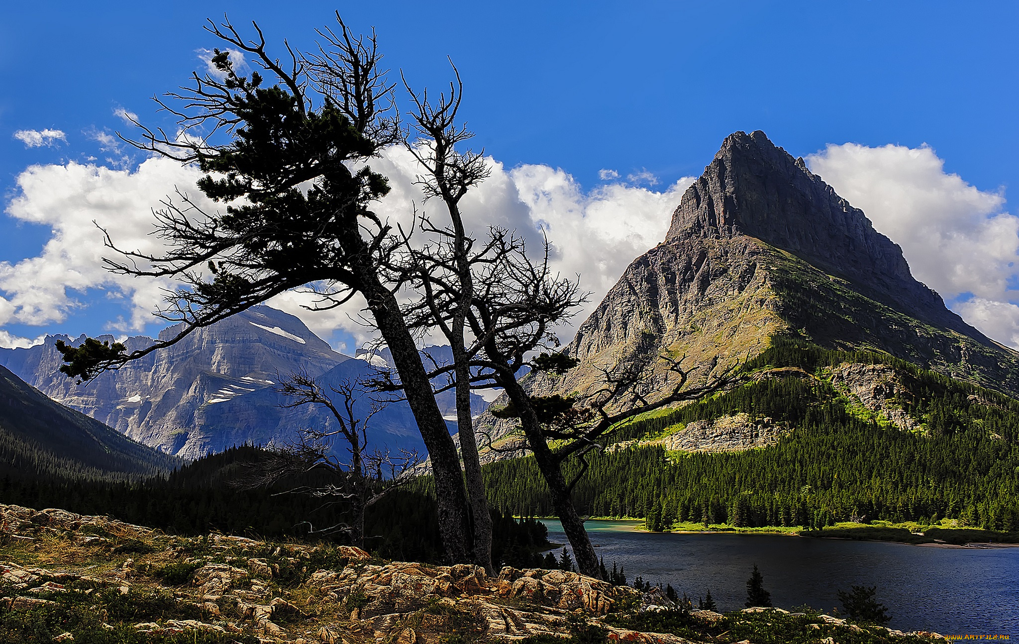 природа, реки, озера, горы, трава, река, лес, скалы, деревья, облака