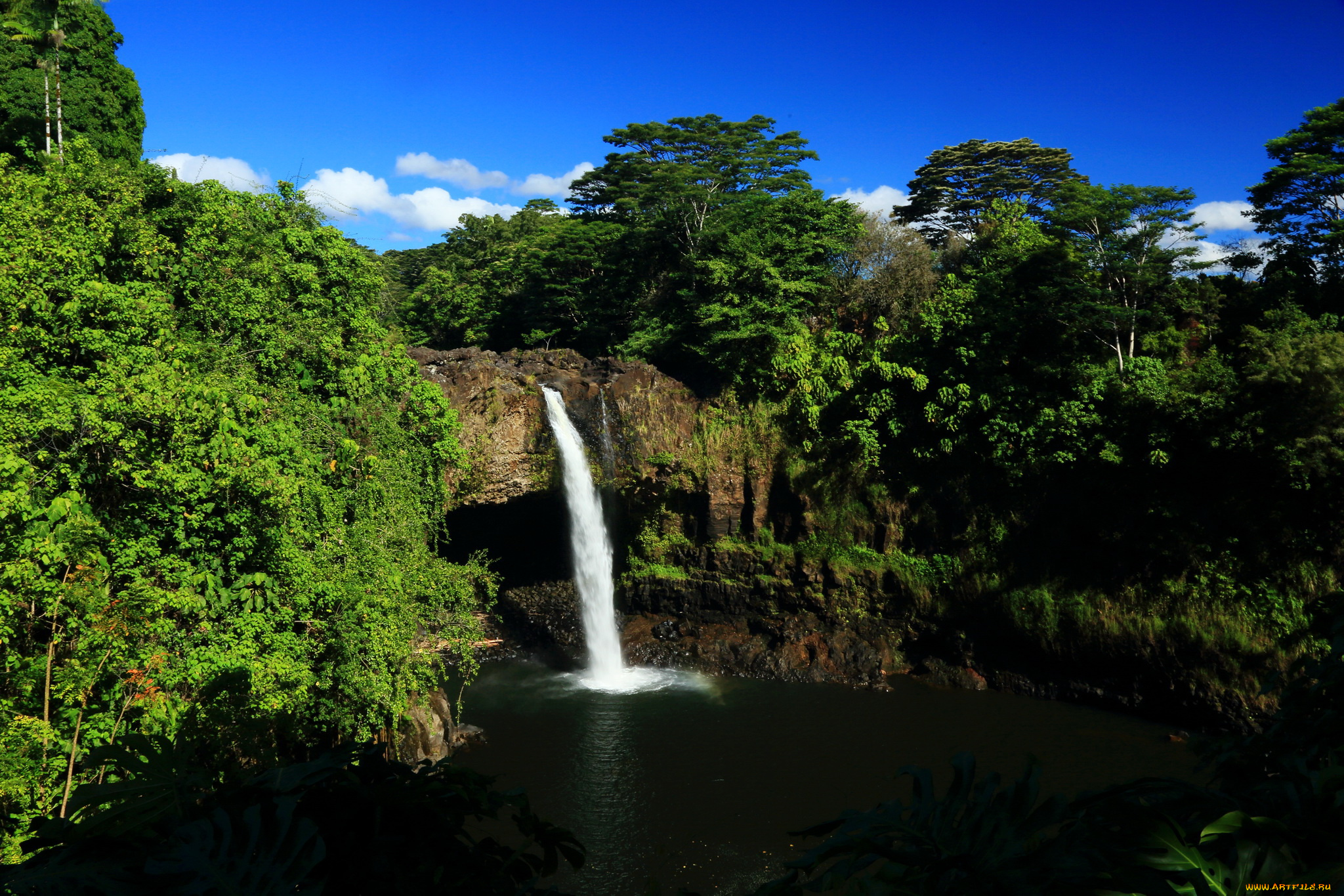hawaii, akaka, falls, природа, водопады, лес, водопад