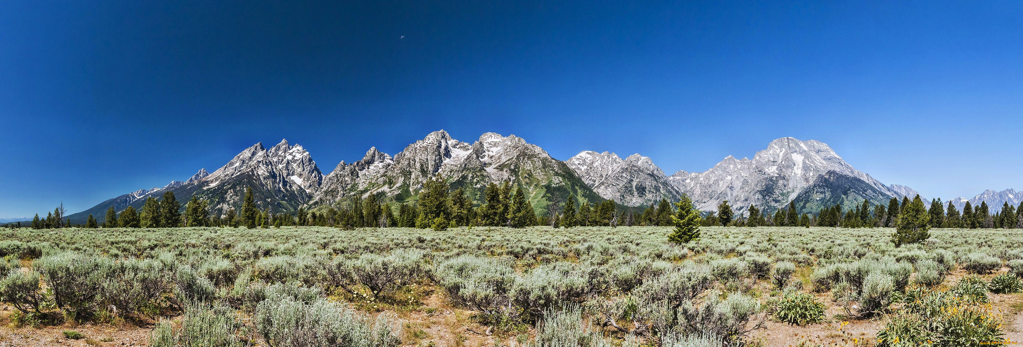 природа, горы, кустики, долина, лес