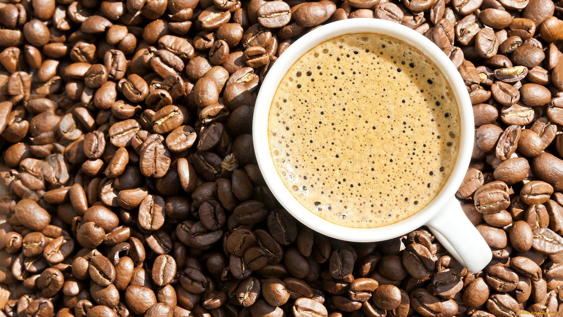 еда, кофе, , кофейные, зёрна, зерна, чашка