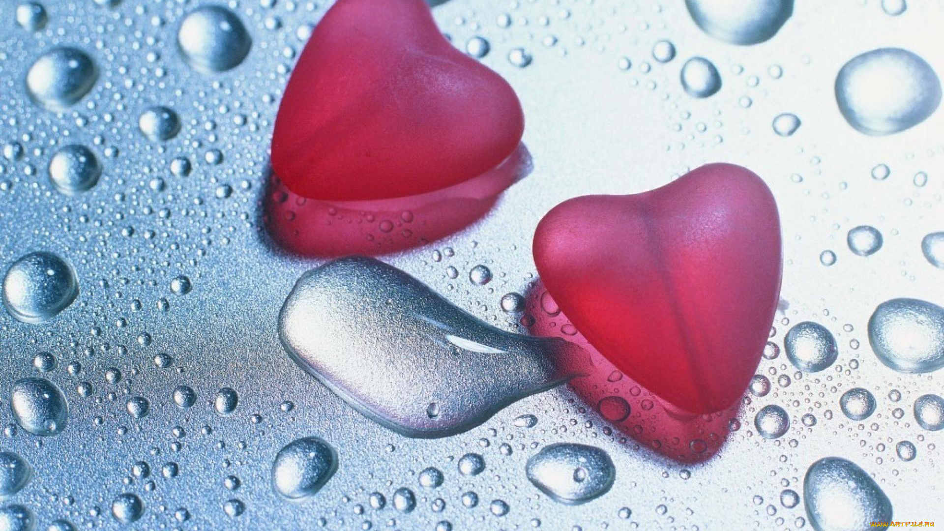 праздничные, день, святого, валентина, , сердечки, , любовь, капли, вода, сердечки