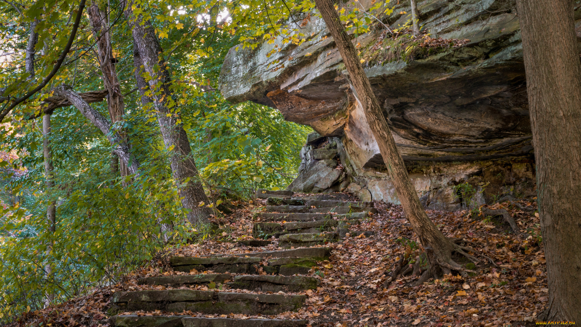 природа, дороги, лес, тропа, скалы