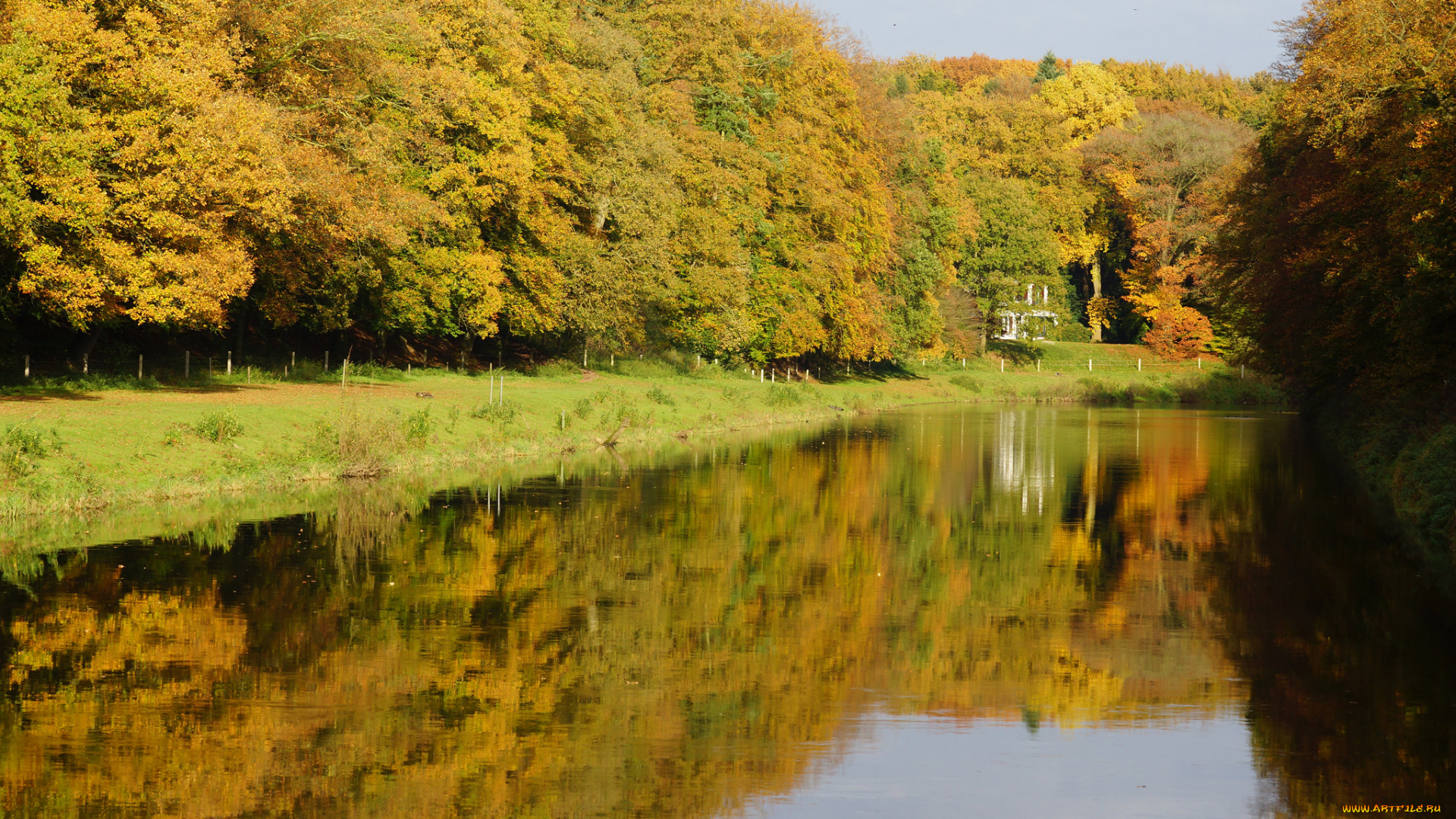 природа, парк, листья, осень, оезеро, лес, деревья, отражение, вода