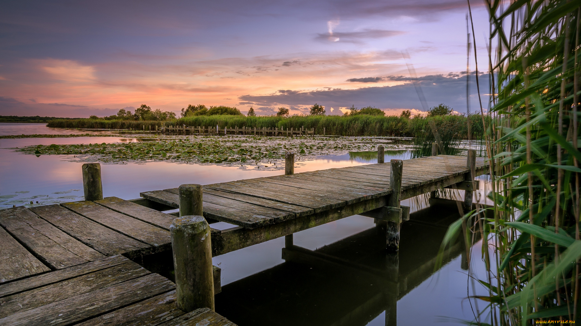 природа, реки, озера, лес, мостик, озеро