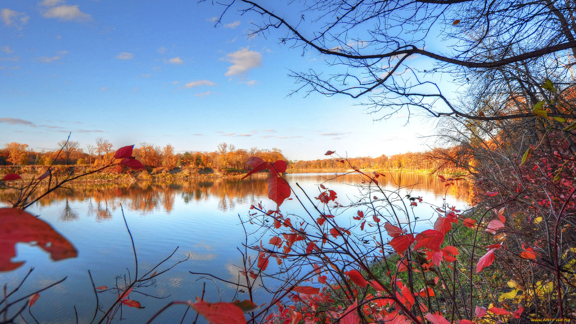 природа, реки, озера, осень, листья, деревья, река, небо