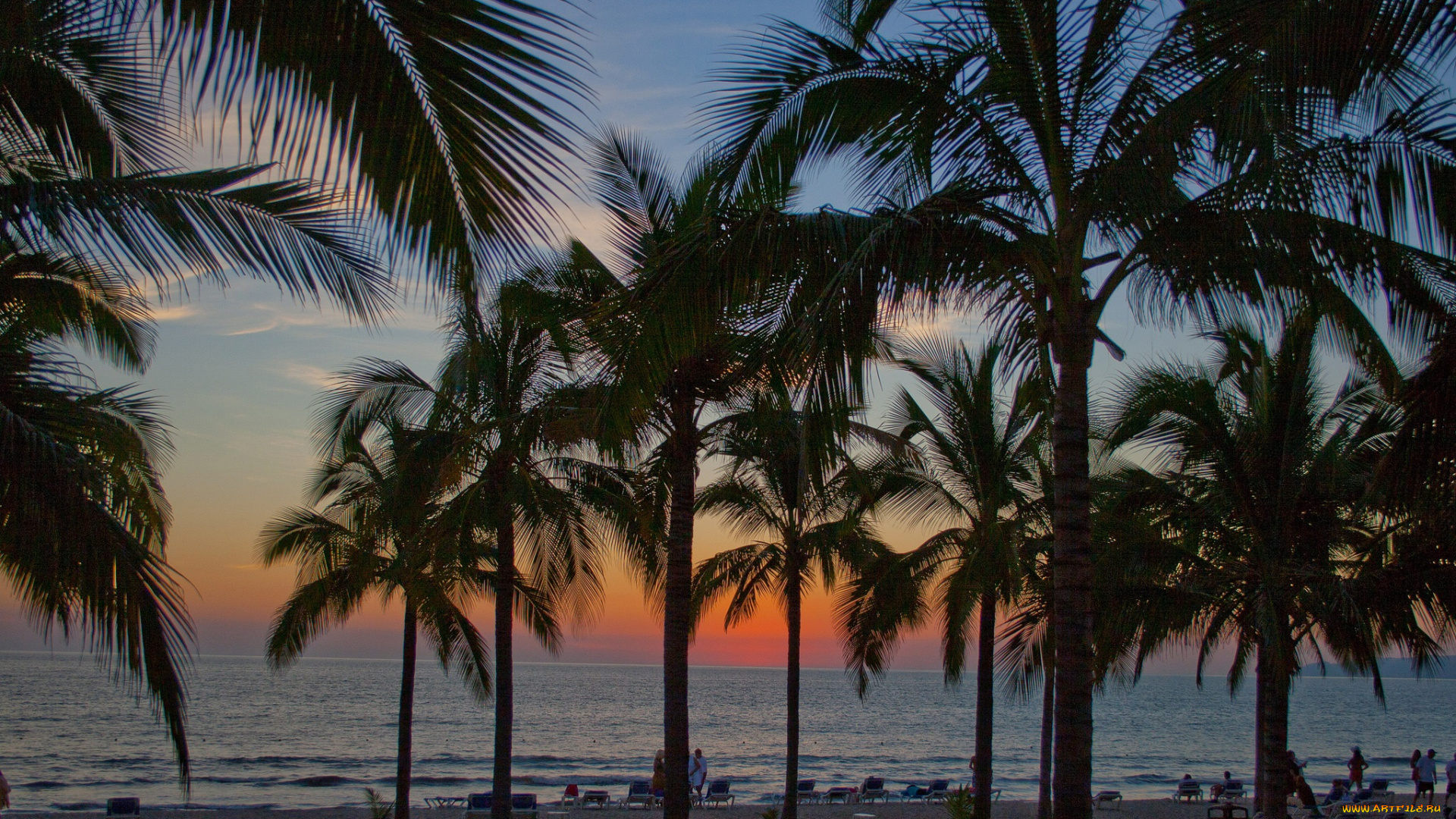 природа, тропики, пальмы, пляж, океан