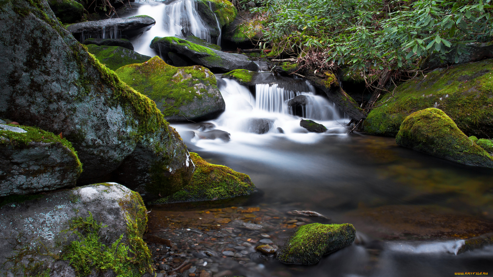 природа, водопады, лес, водопад, река
