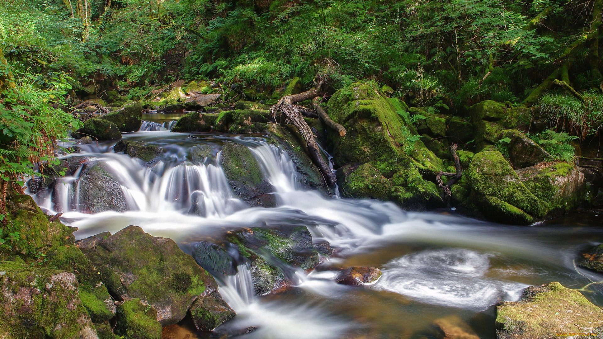 природа, водопады, водопад, река, лес