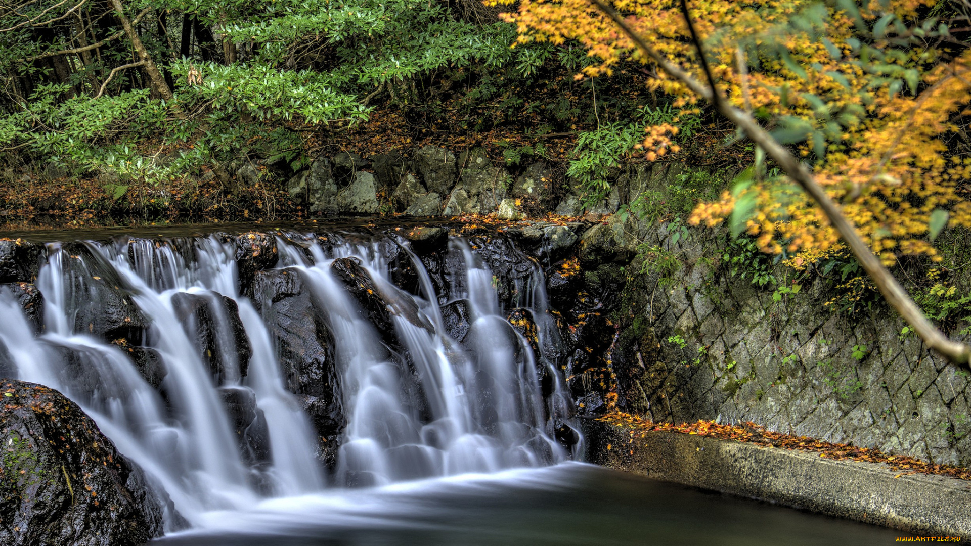 природа, водопады, водопад, река, лес