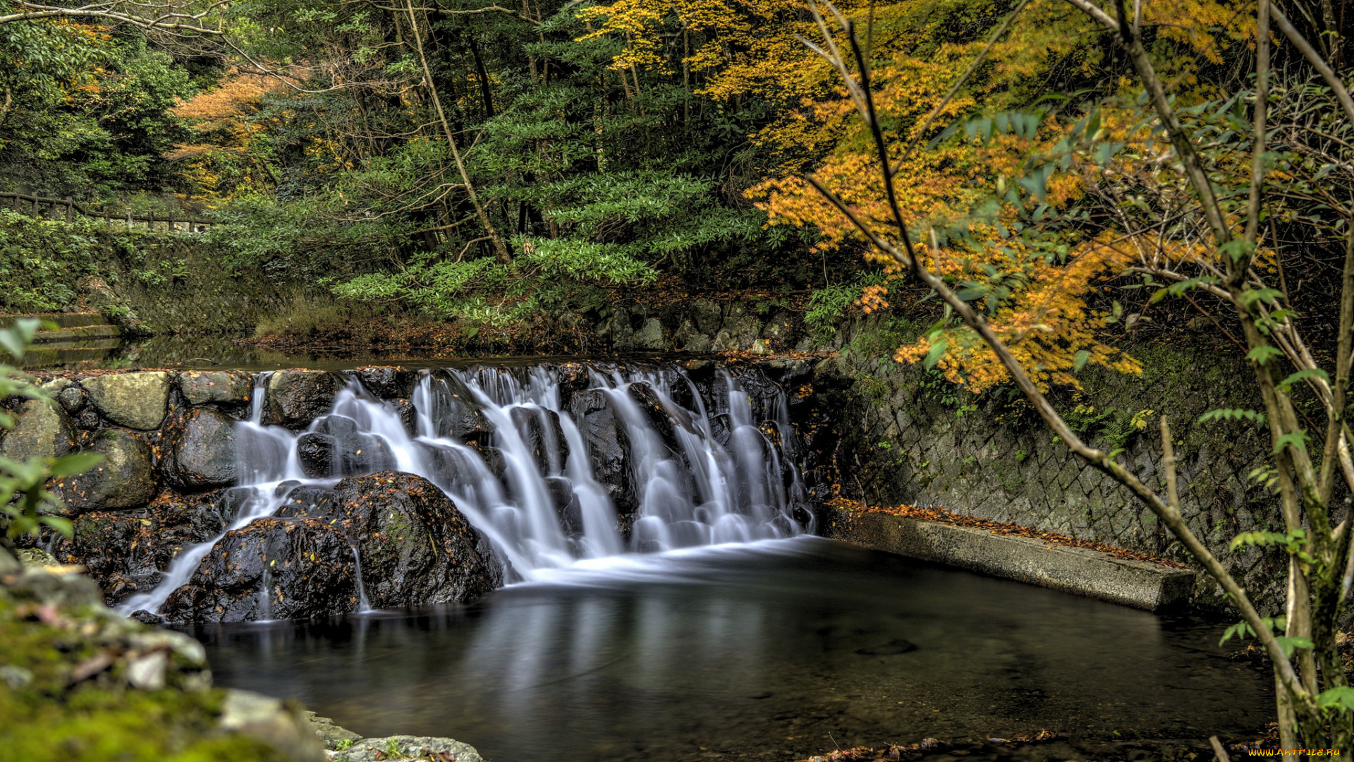 природа, водопады, водопад, река, лес