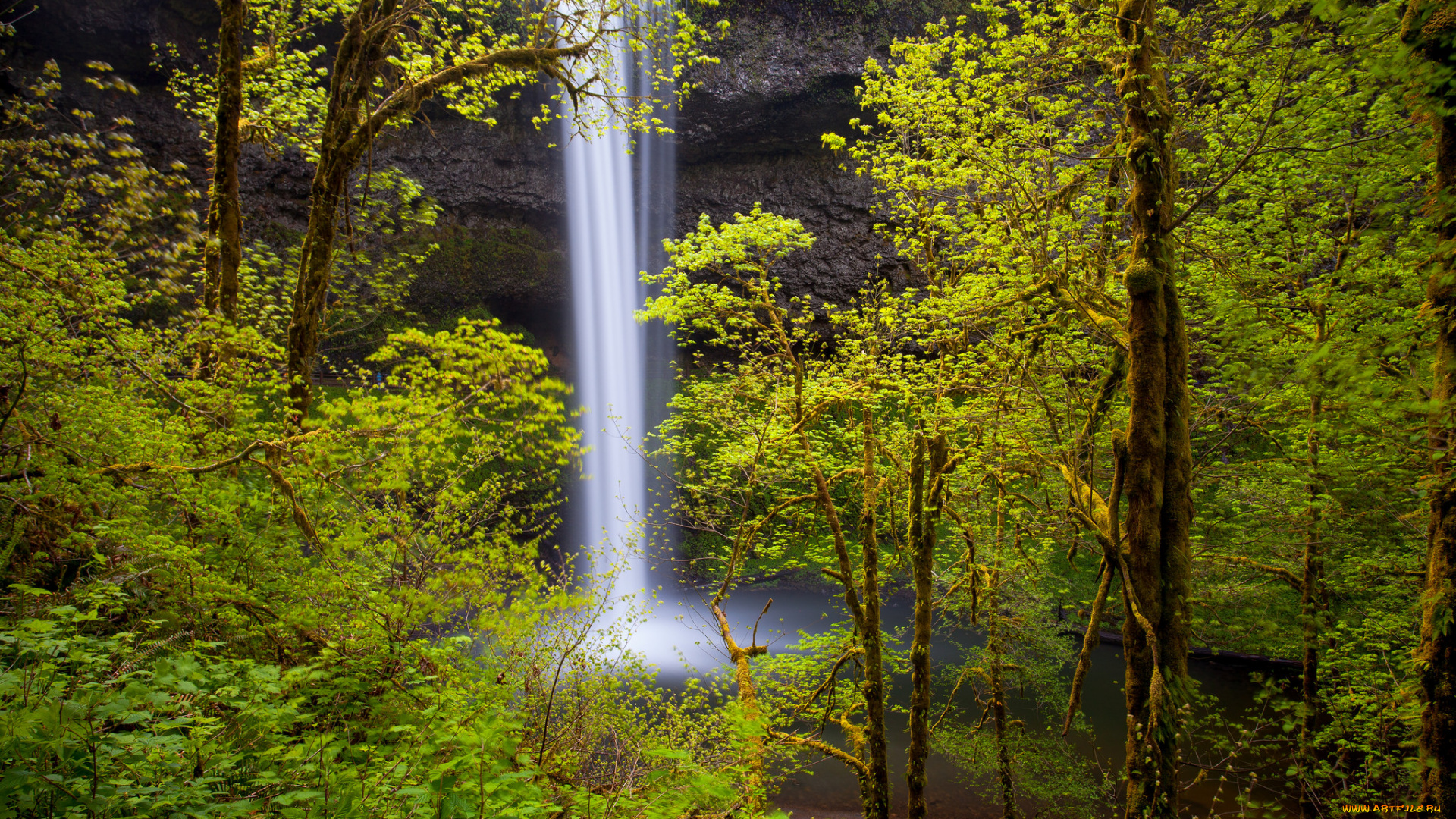 природа, водопады, водопад, река, лес