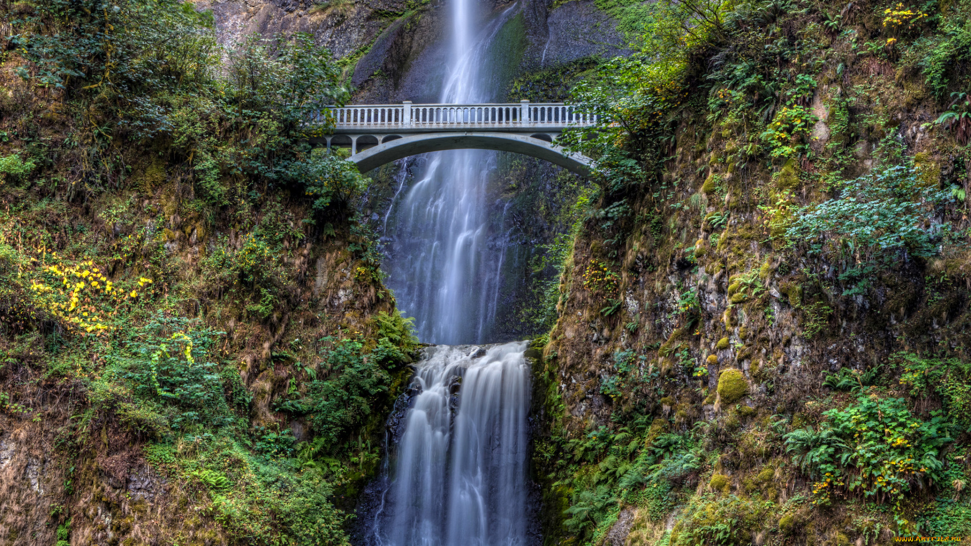 природа, водопады, водопад, река, лес