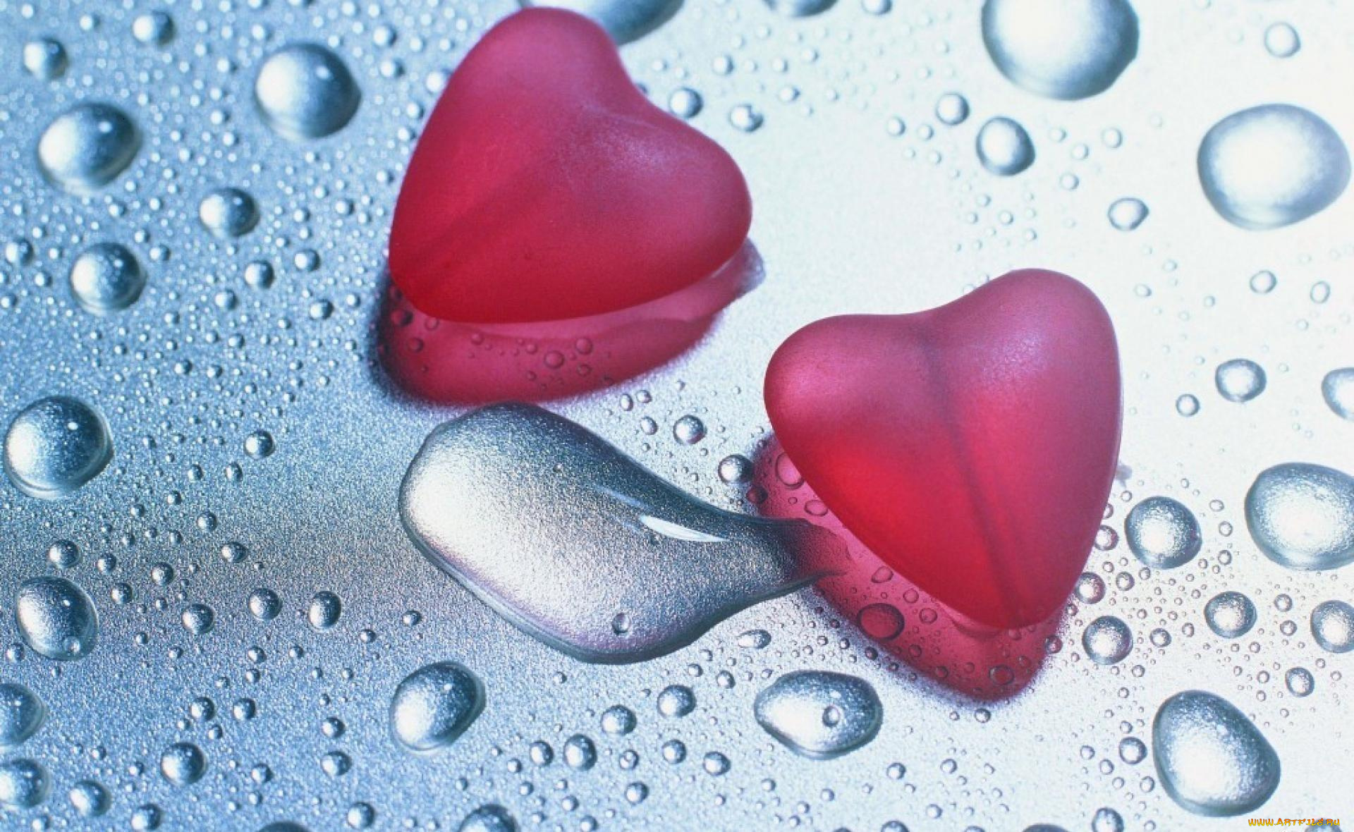 праздничные, день, святого, валентина, , сердечки, , любовь, капли, вода, сердечки