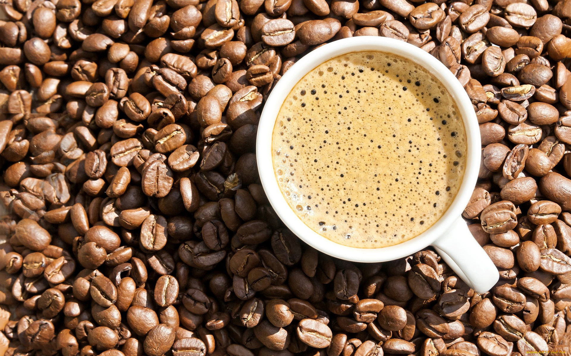 еда, кофе, , кофейные, зёрна, зерна, чашка