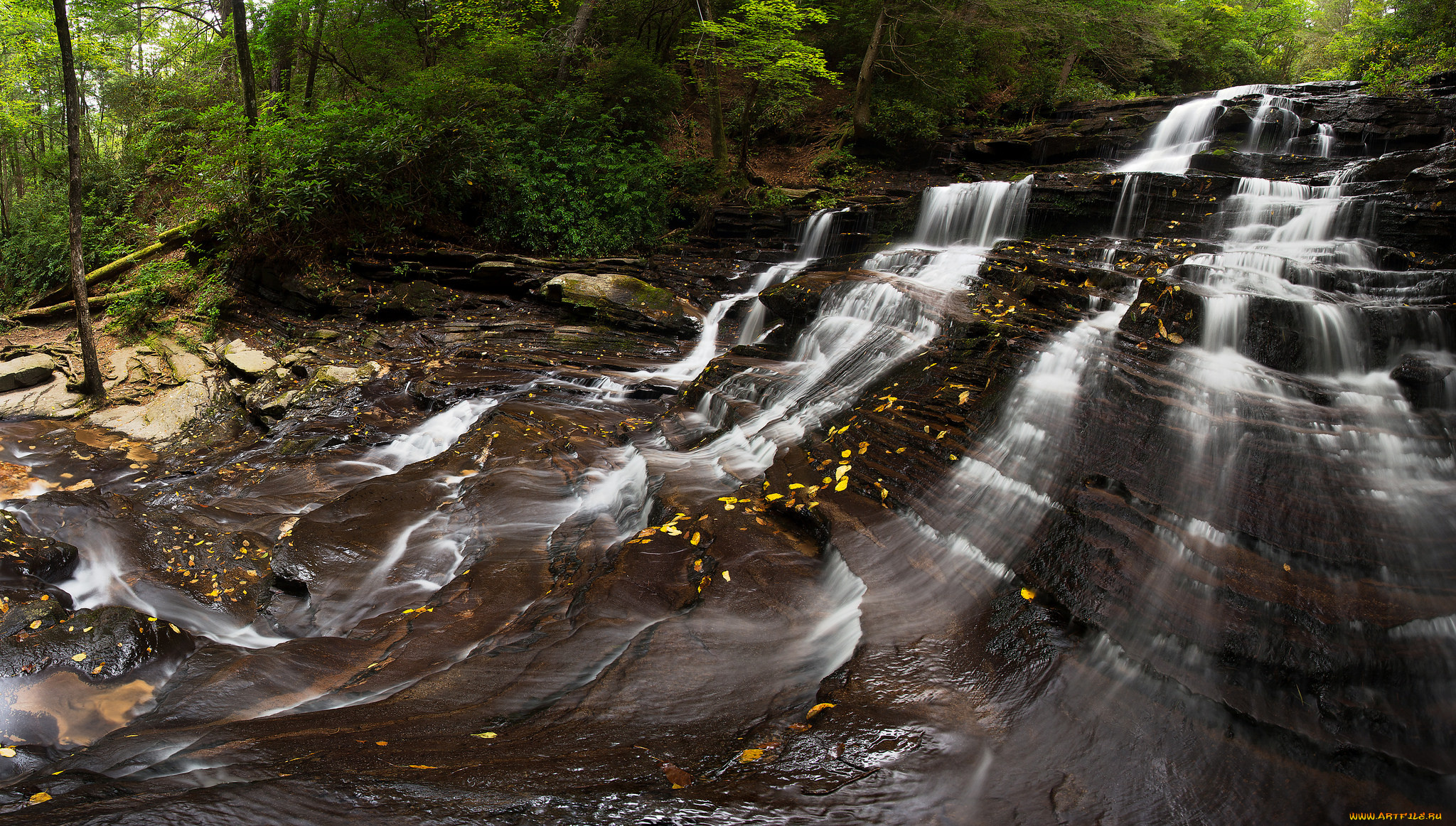 природа, водопады, водопад, река, лес
