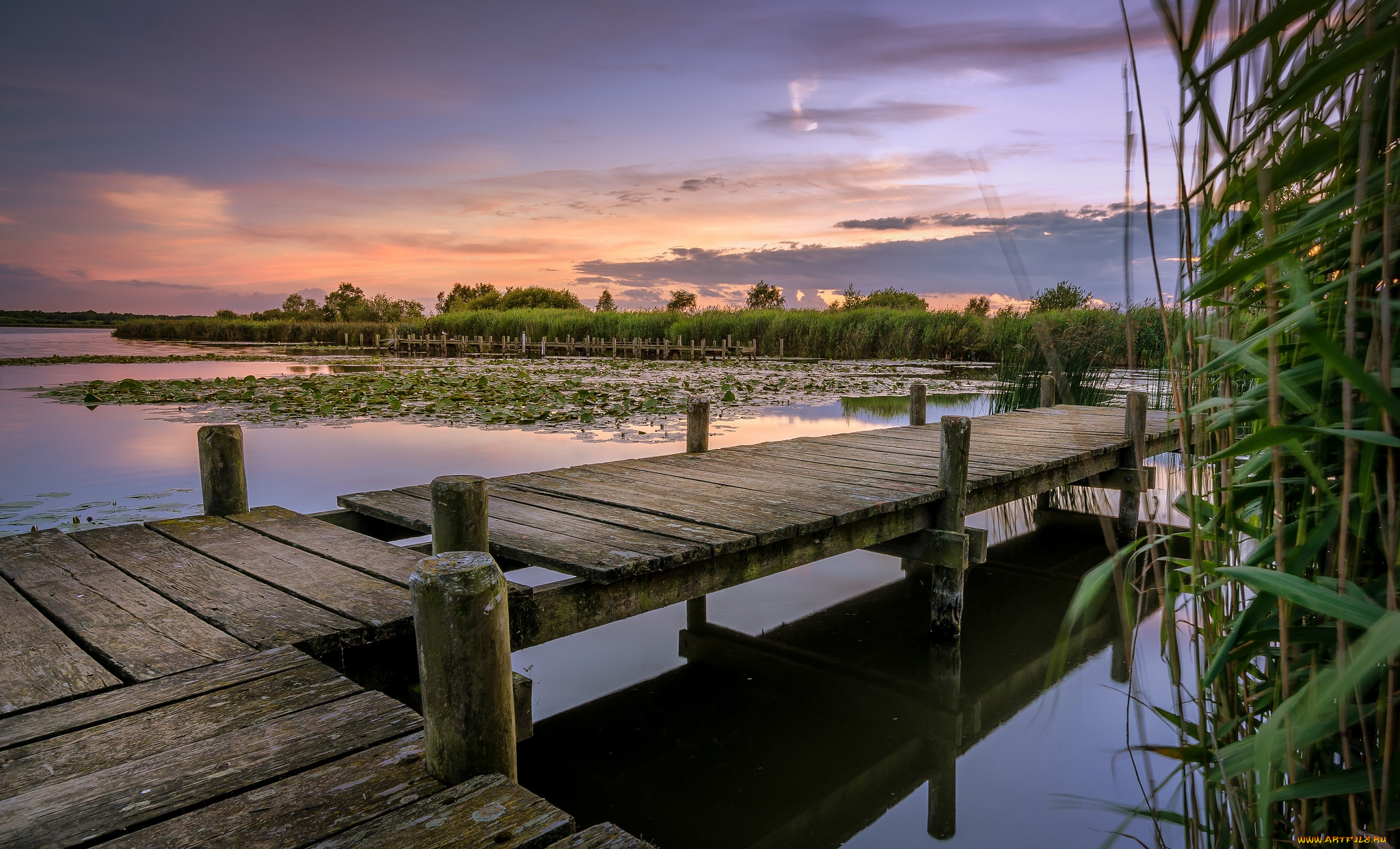 природа, реки, озера, лес, мостик, озеро