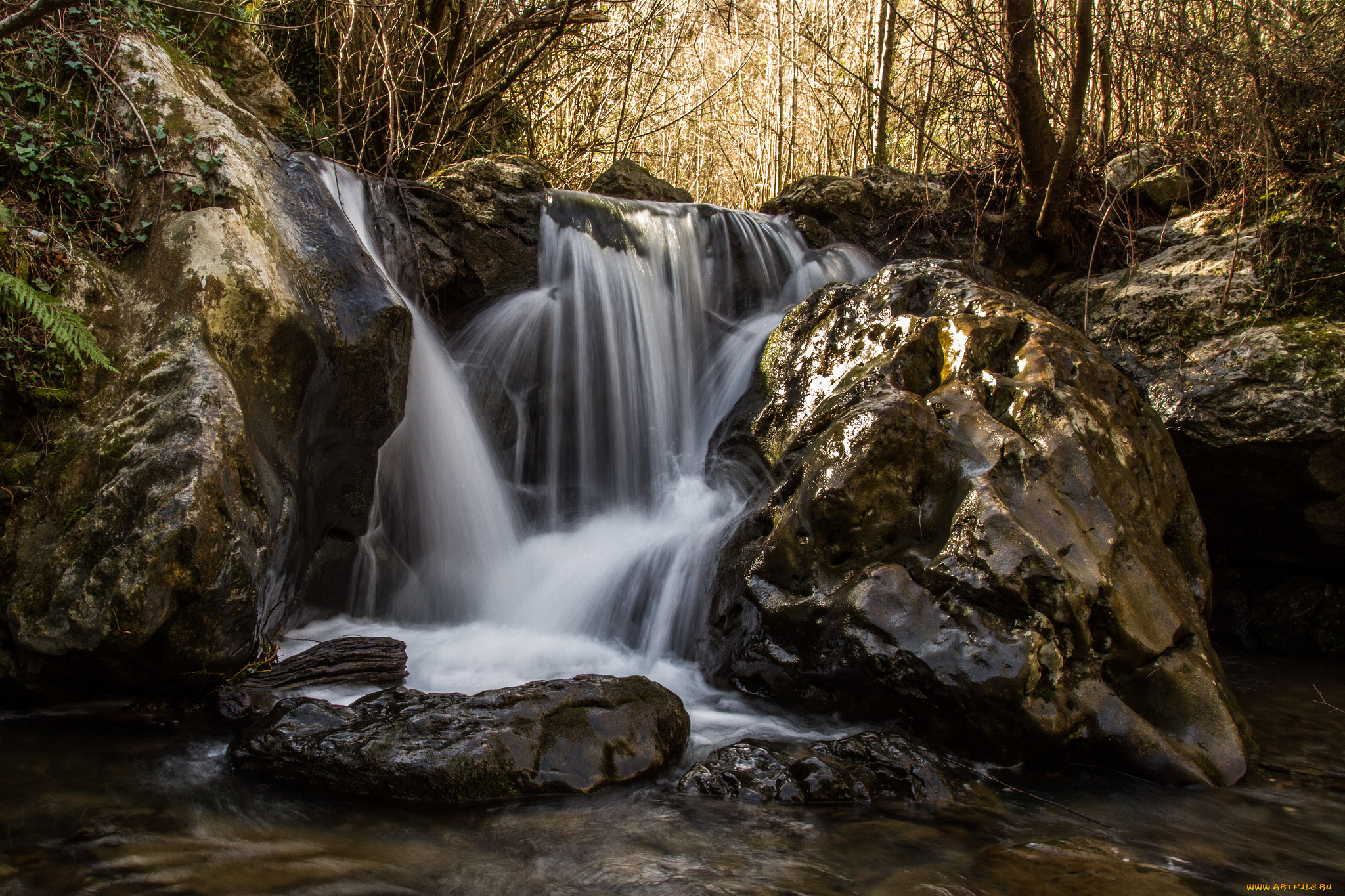 природа, водопады, водопад, река, лес