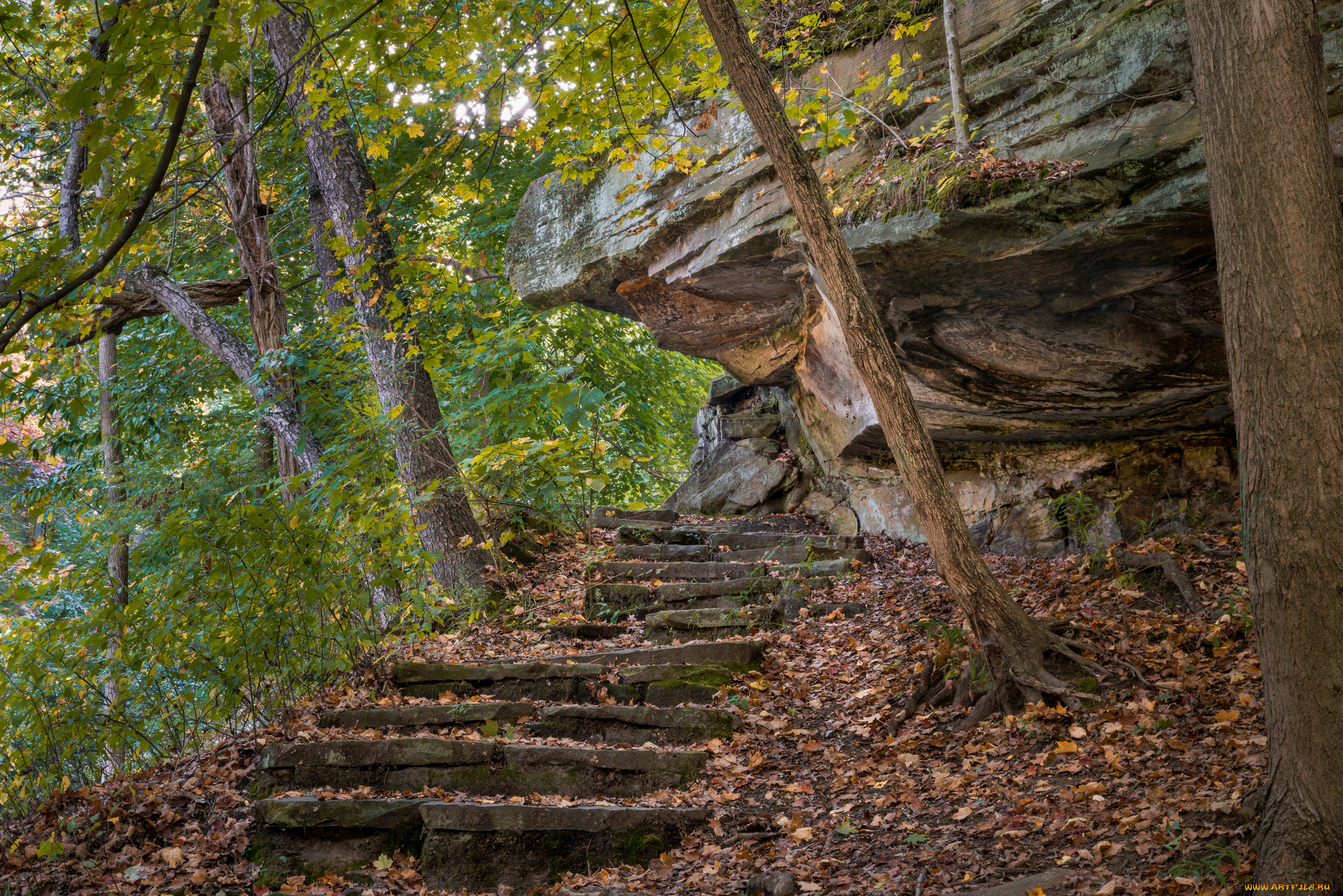 природа, дороги, лес, тропа, скалы