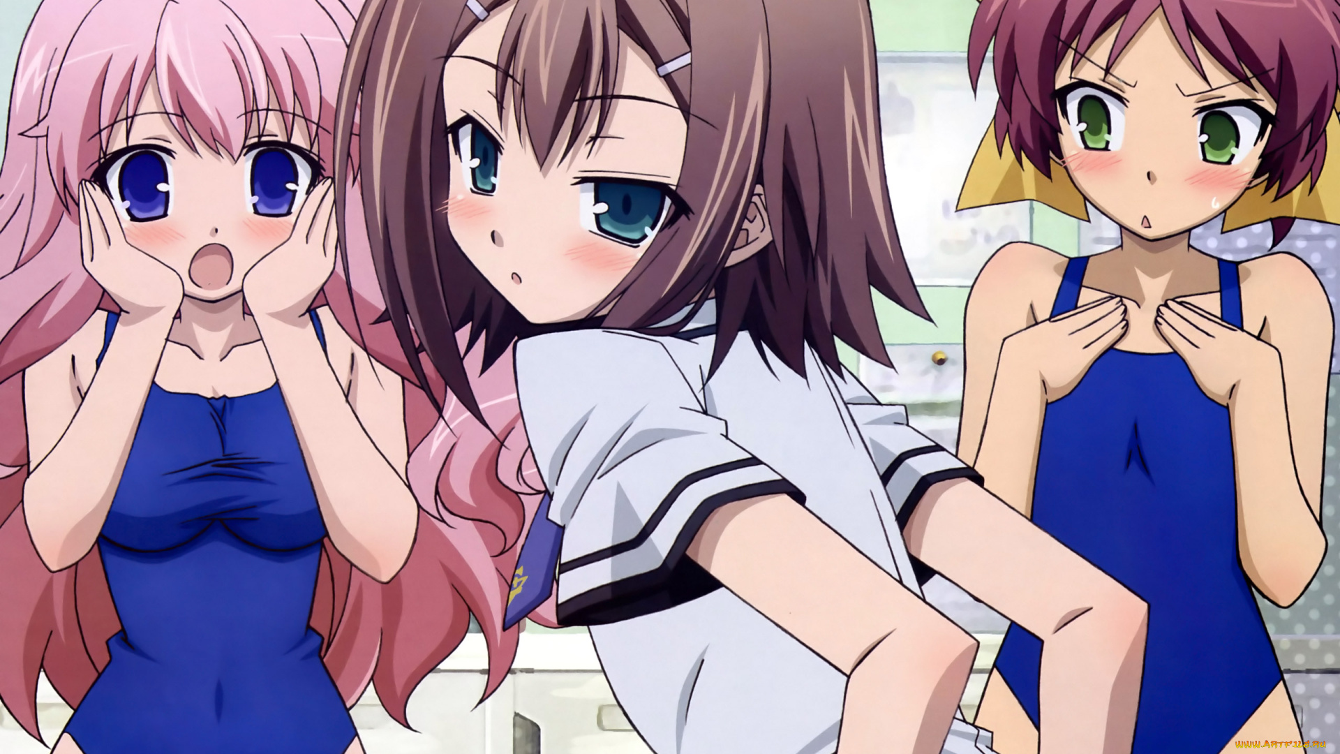 аниме, baka, to, test, to, shoukanjuu, фон, взгляд, девушки