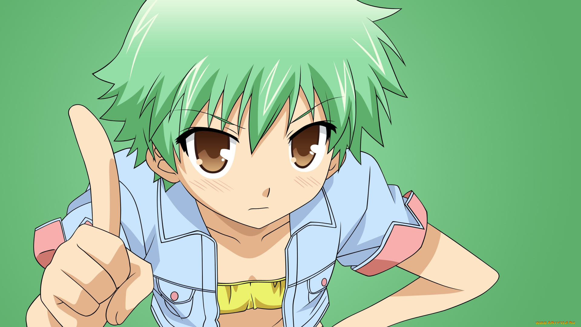 аниме, baka, to, test, to, shoukanjuu, персонаж