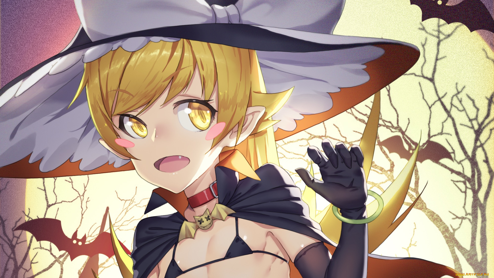 аниме, bakemonogatari, oshino, shinobu