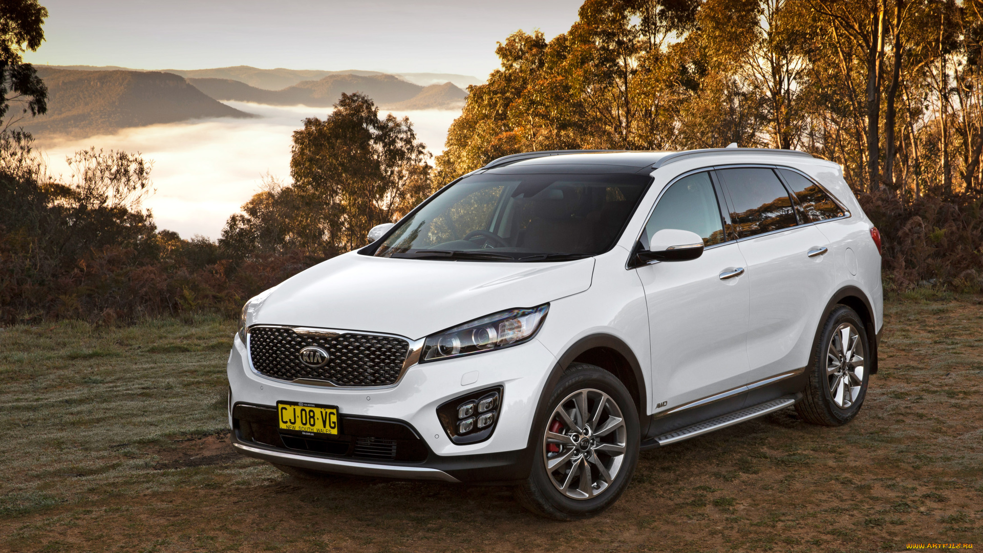 автомобили, kia