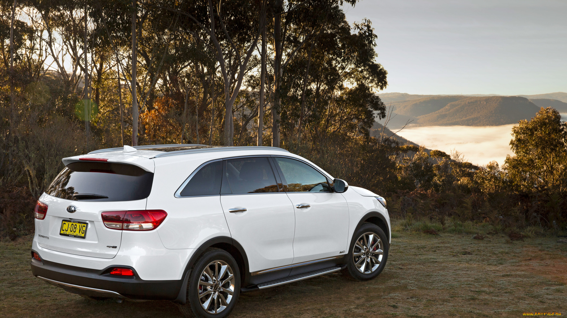 автомобили, kia