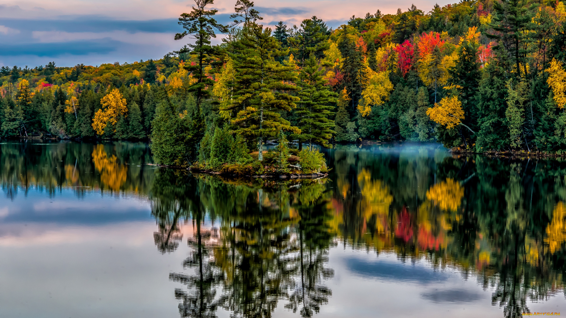 природа, реки, озера, отражение, деревья, островок, парк