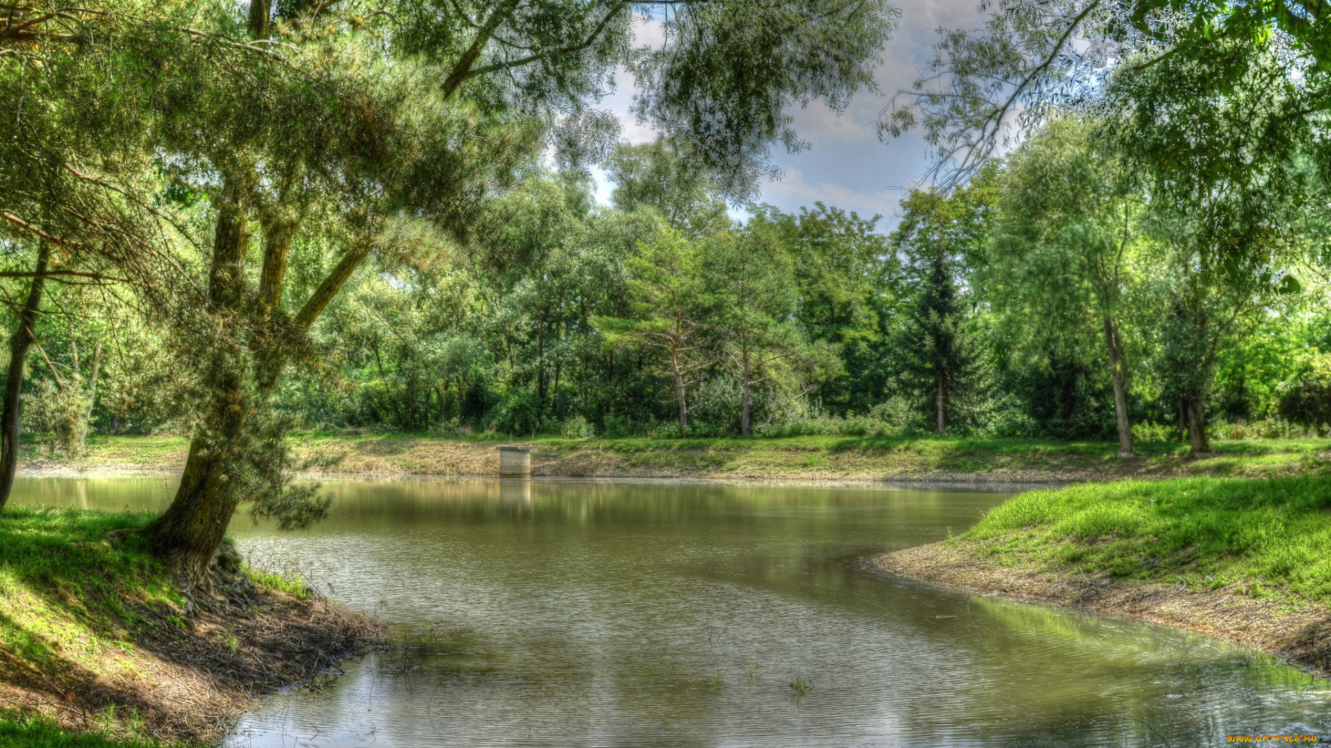 природа, реки, озера, река, лес