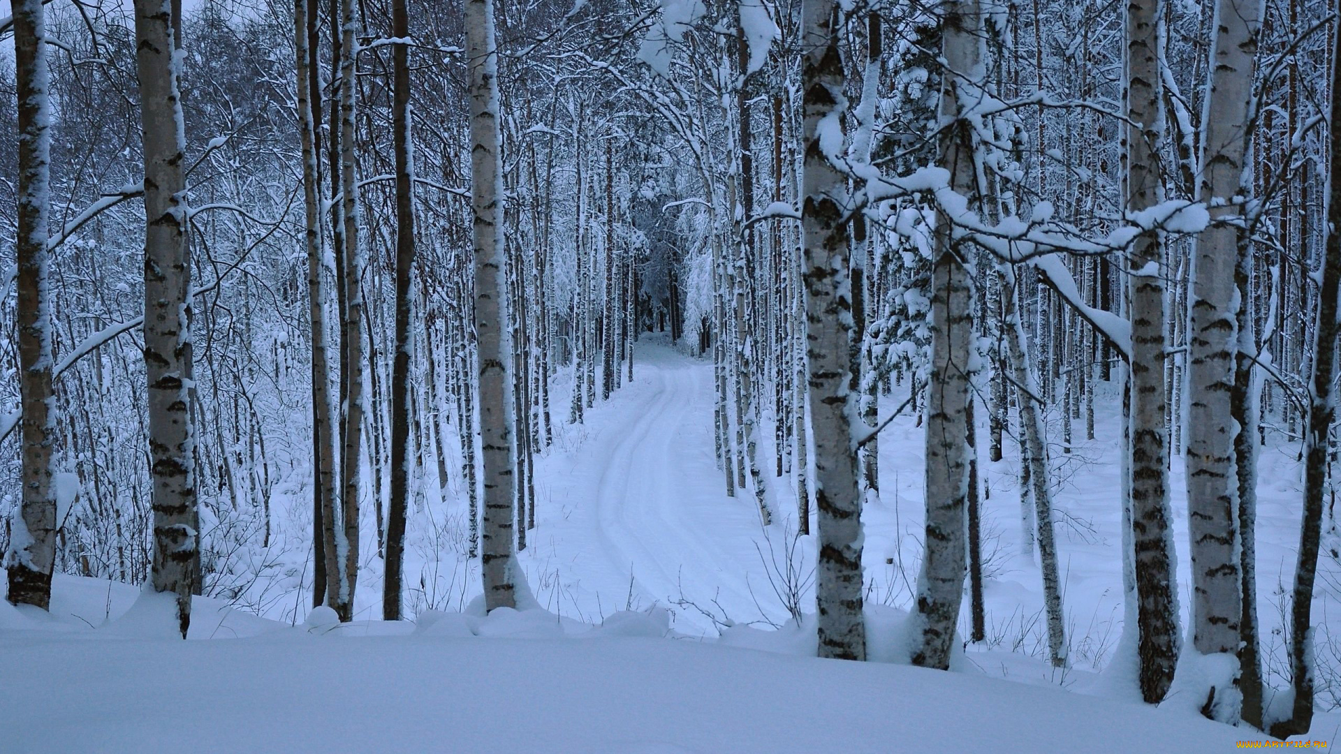 природа, зима, дорога, снег, лес