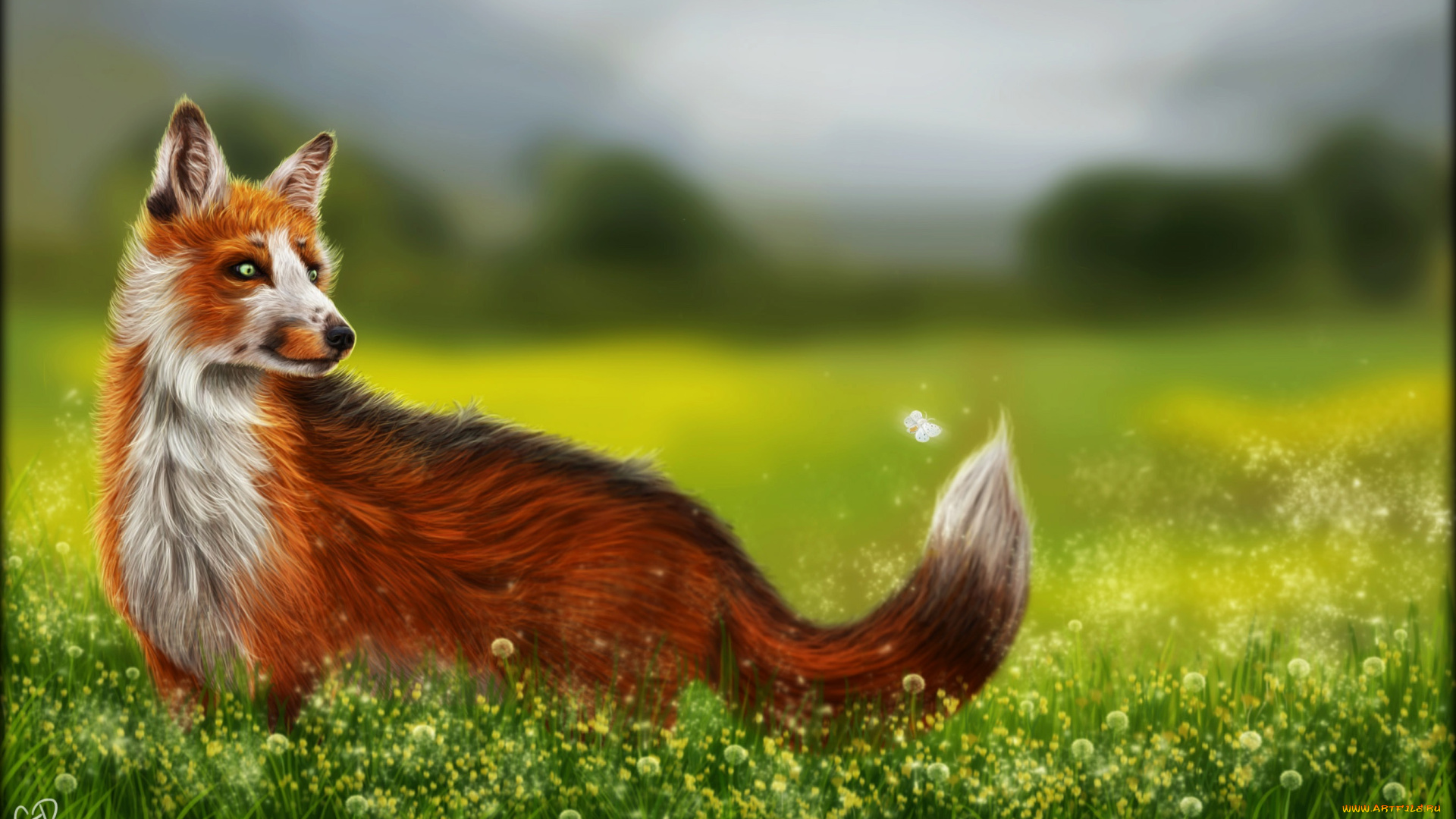 рисованное, животные, , лисы, природ, бабочка, цветы, лиса, лето