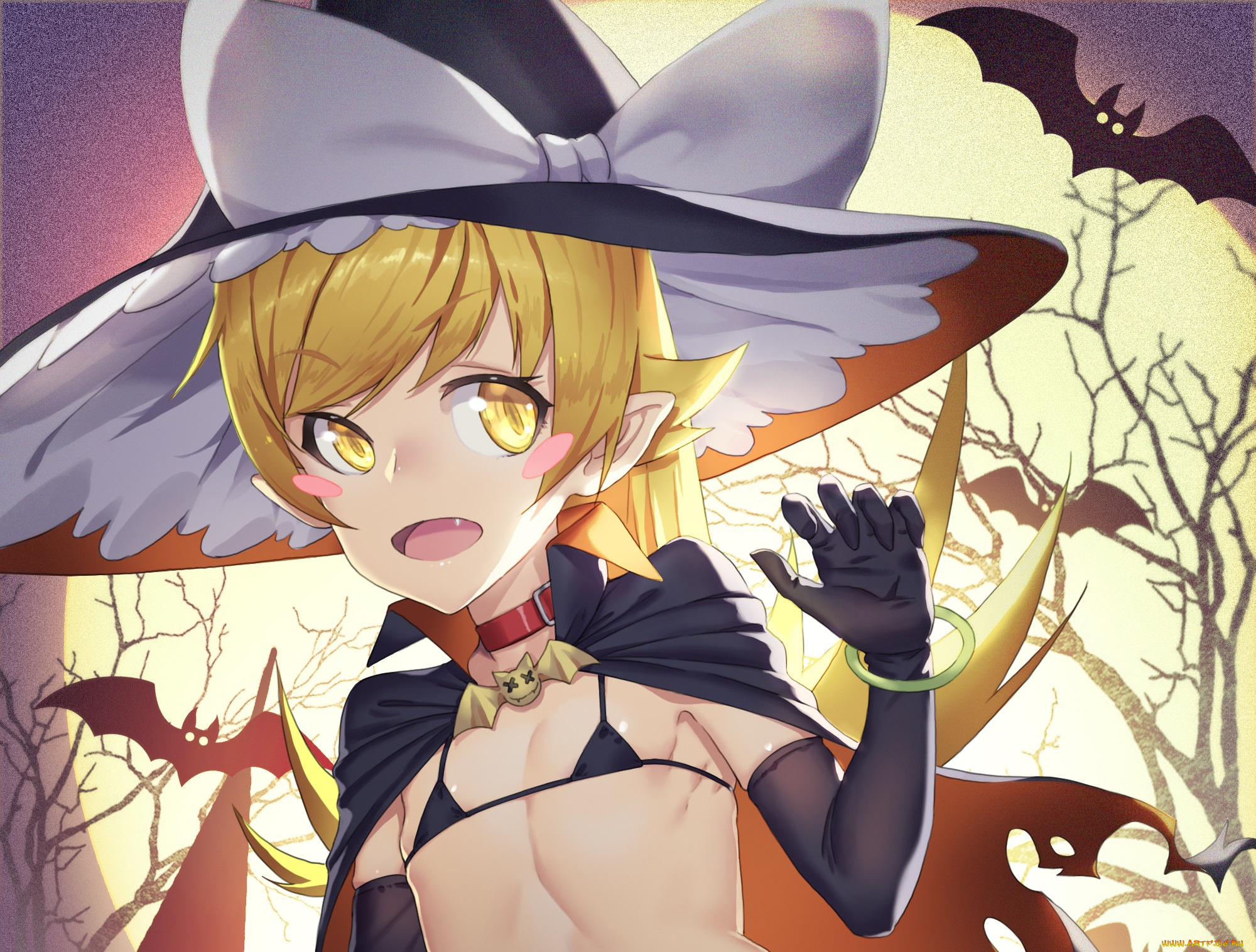 аниме, bakemonogatari, oshino, shinobu