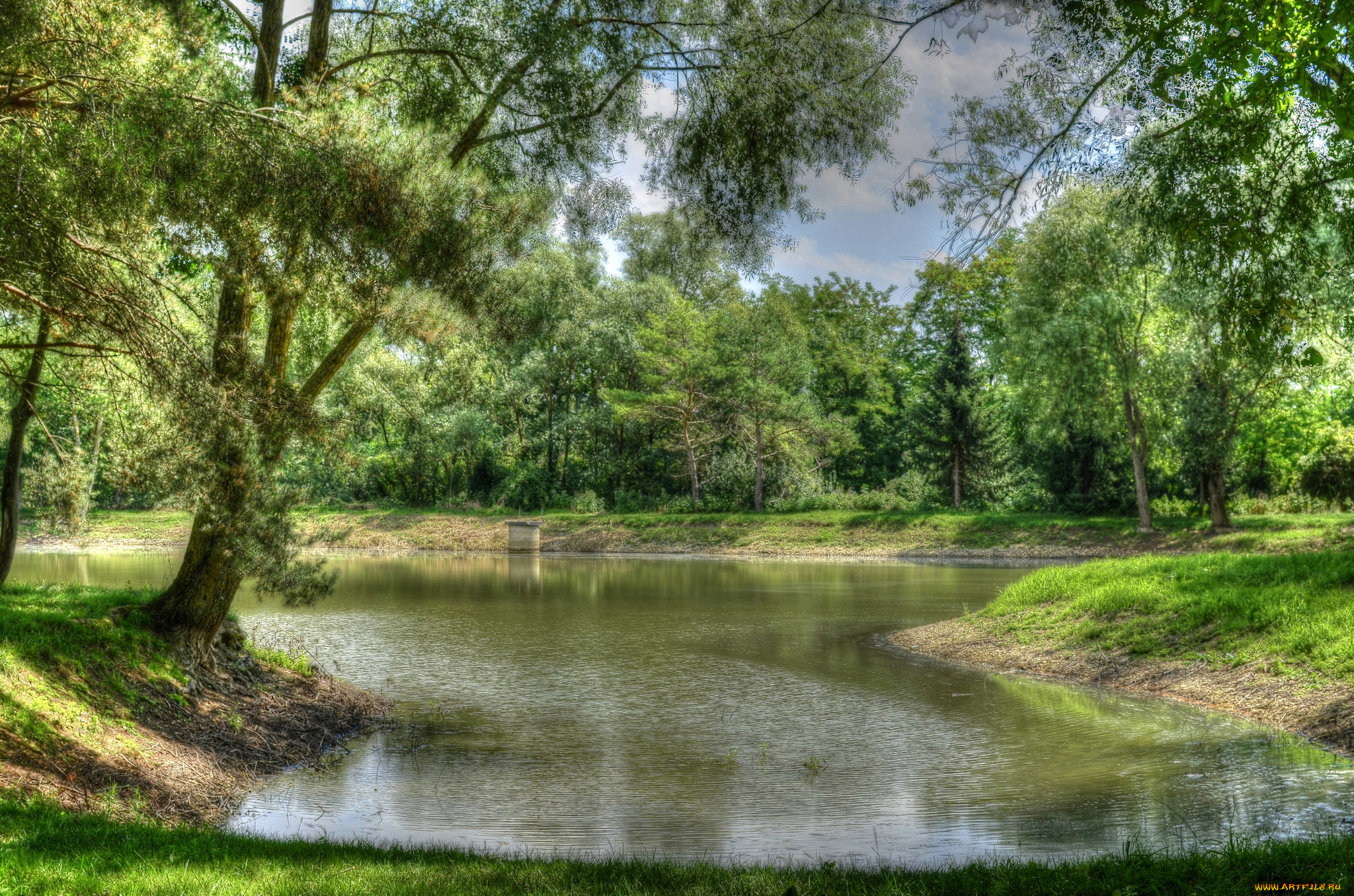 природа, реки, озера, река, лес