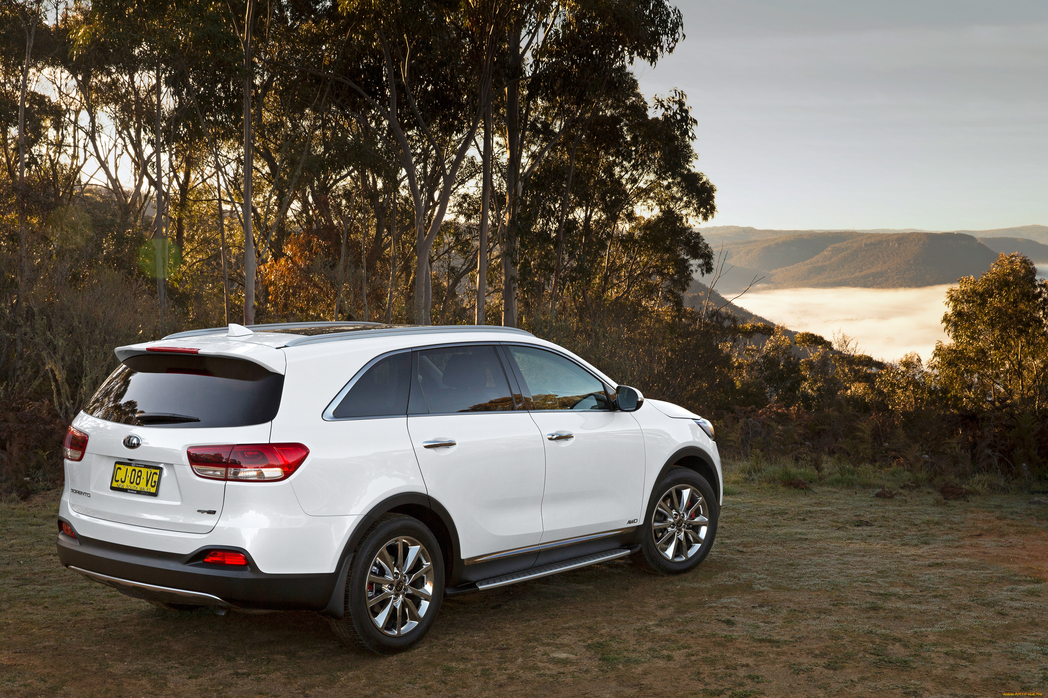 автомобили, kia