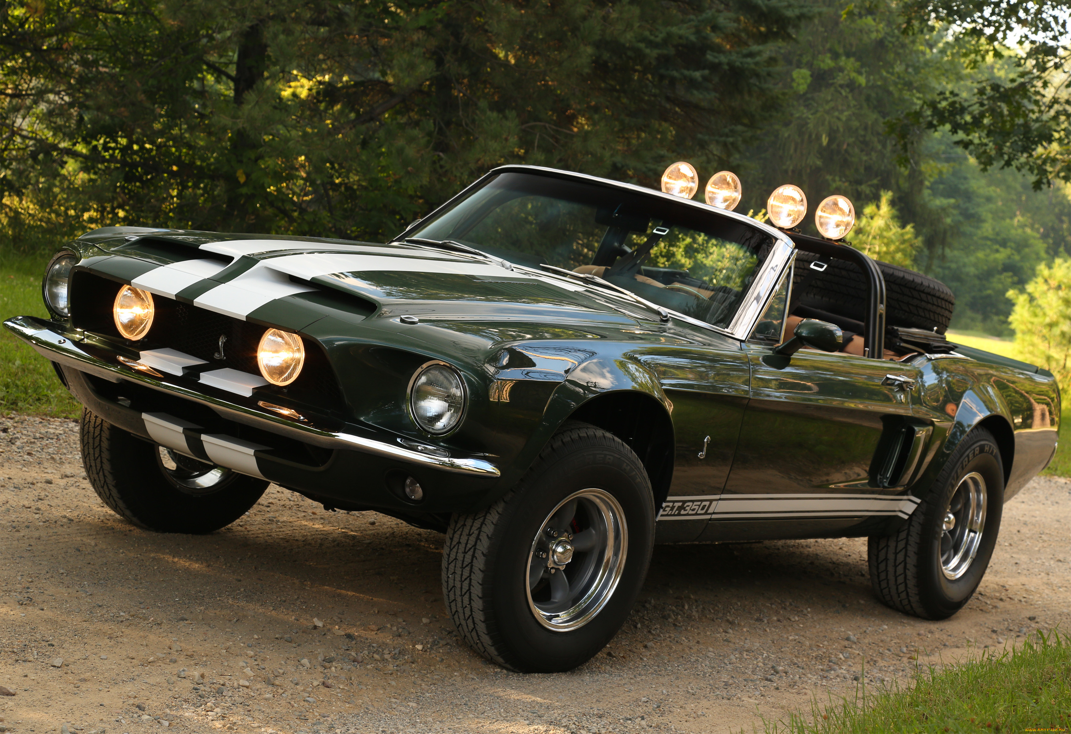 автомобили, mustang