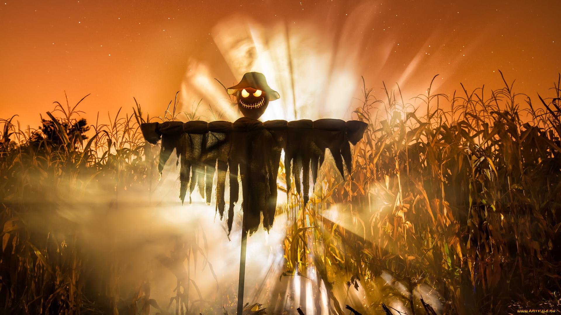 праздничные, хэллоуин, halloween, праздник