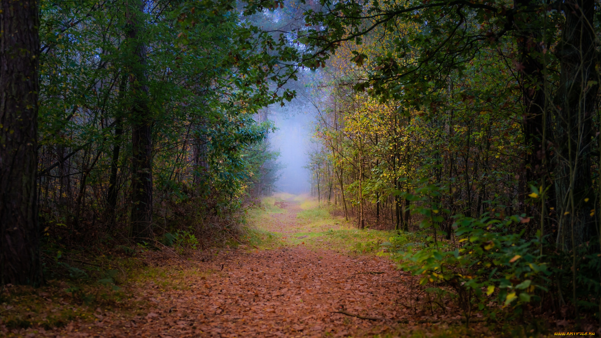 природа, дороги, простор