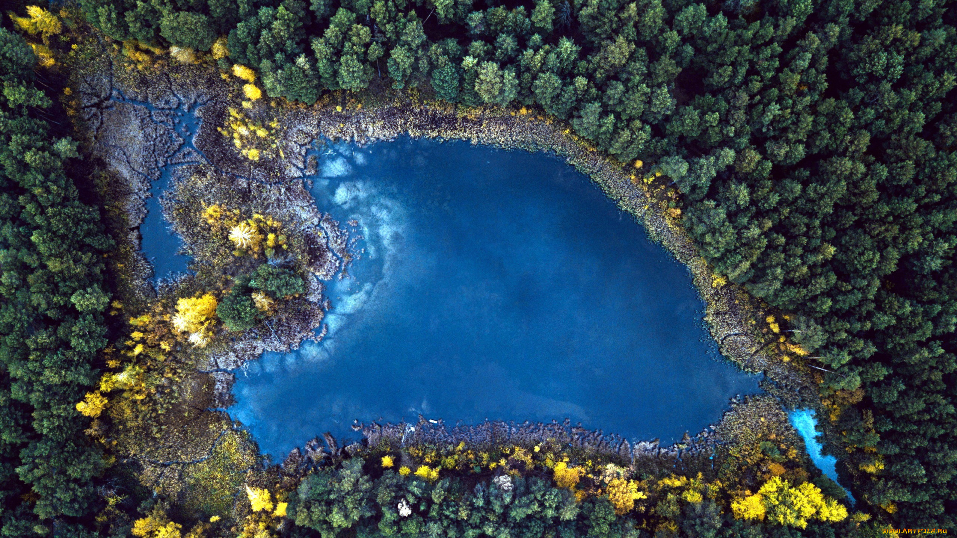 природа, реки, озера, лес, озеро, панорама